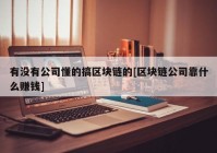 有没有公司懂的搞区块链的[区块链公司靠什么赚钱]